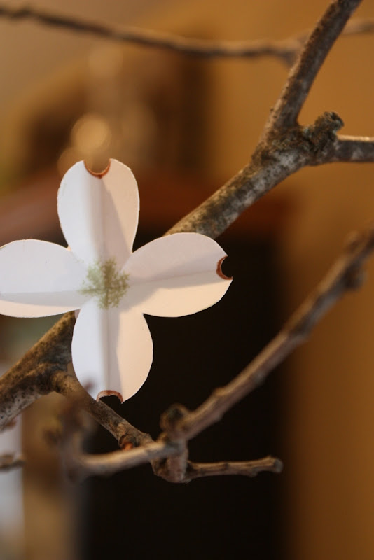 Sweet Something Designs Paper Dogwood Blossoms