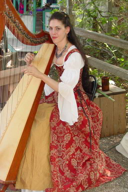 Medieval Times Harp