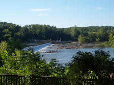 River Tree