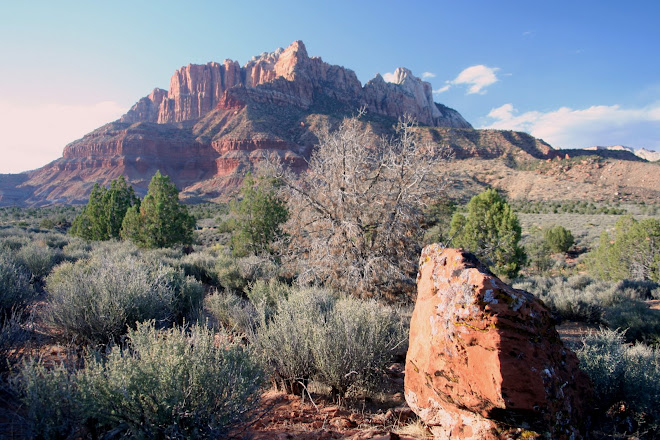 HOMESITE FOR LOT #69