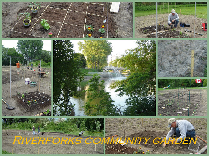 Riverforks Community Garden