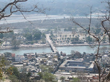 Vista des de Mansa Devi