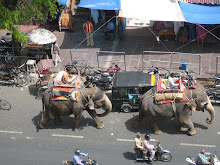 Elefants des del Palau dels Vents
