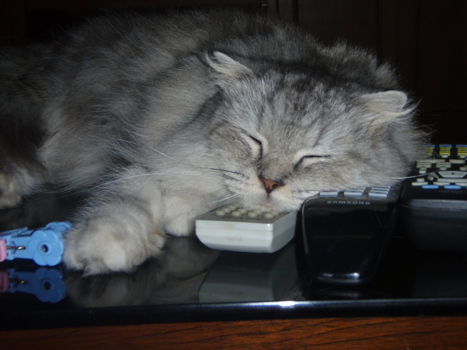 [Copy+of+PA110095.JPG]