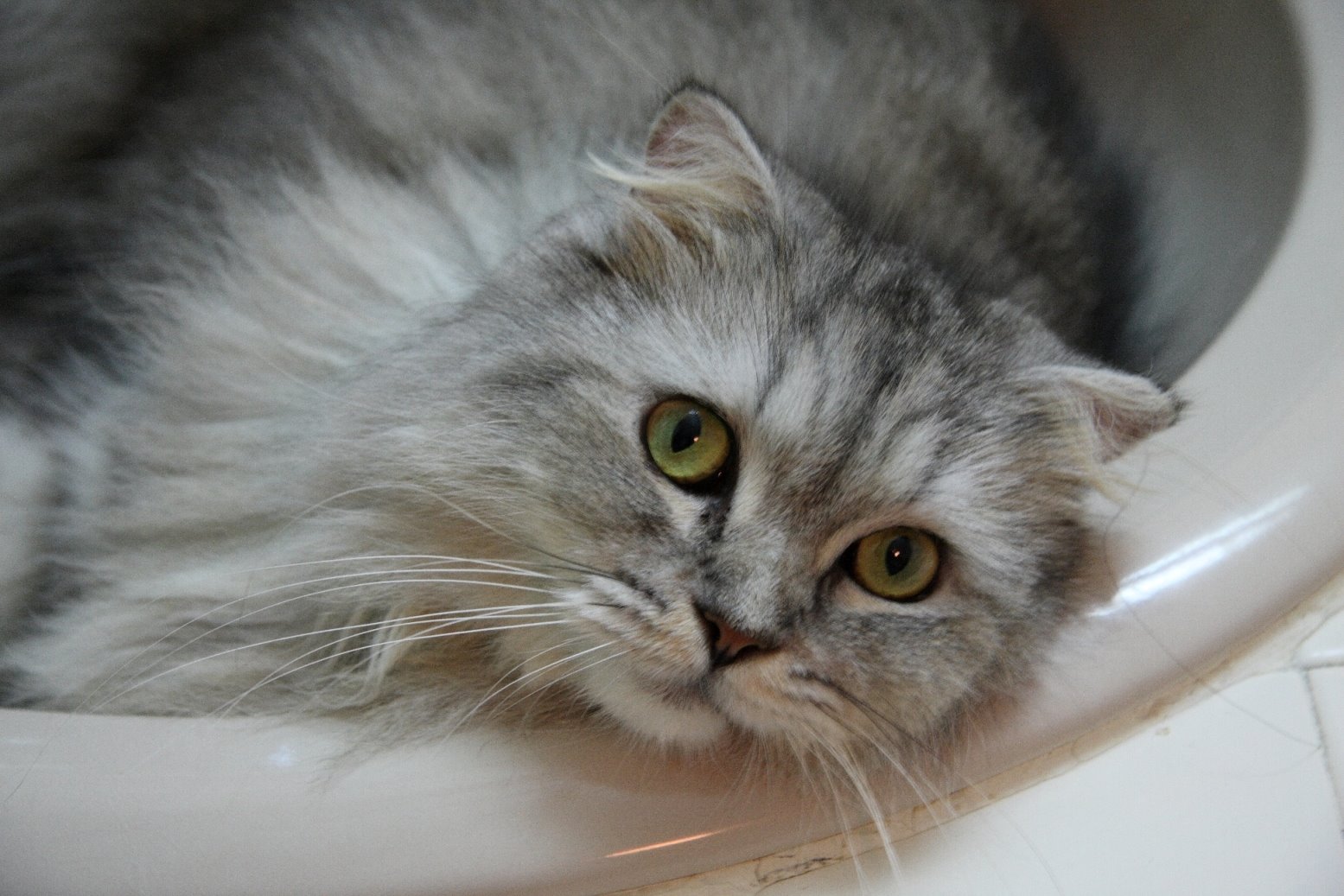 [IMG_0053_resized.JPG]