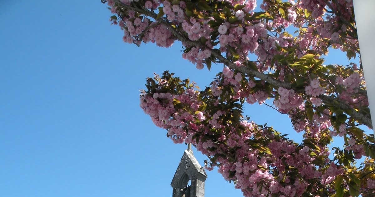 Our Year in Ireland June 19 Oranmore Village