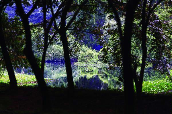 Vikhramaditya's Blog: Teori Taman Hutan Kota