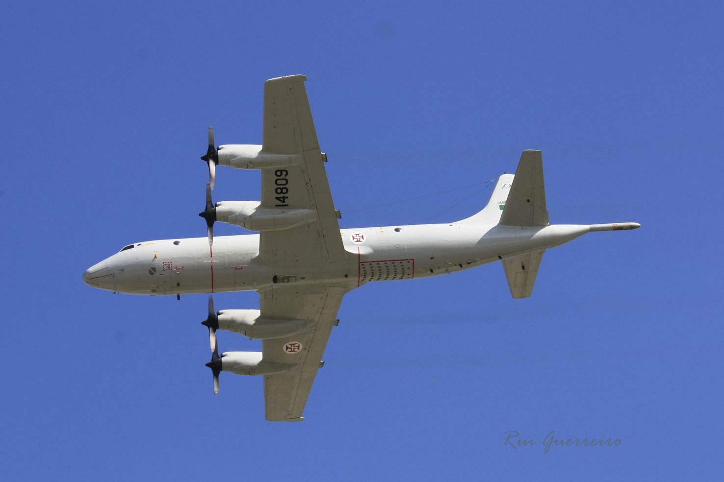 [P3Orion.jpg]