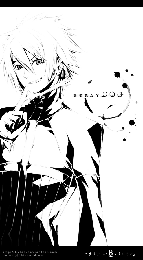 Haine Dogs