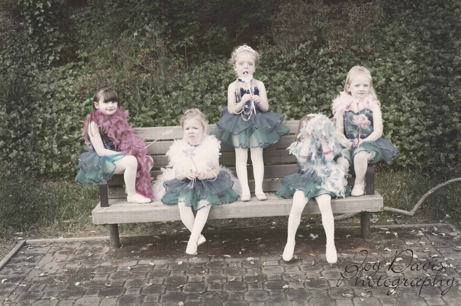 [Star+Steps+Dance.9.jpg]