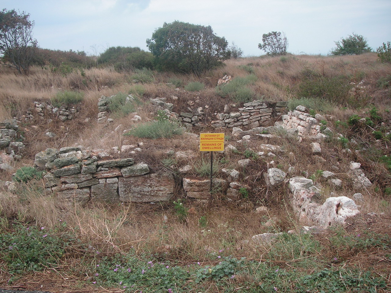 [PICT3148_resize.JPG]