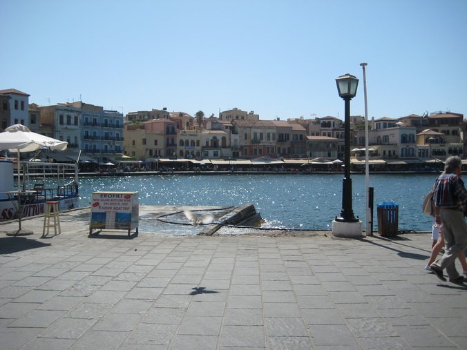 [IMG_0190_resize.jpg]