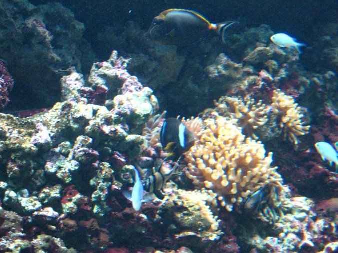 [IMG_0440_resize.jpg]