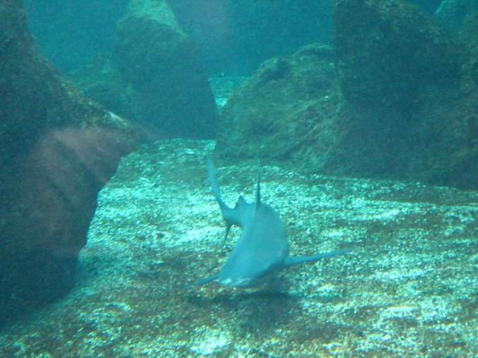 [IMG_0427_resize.jpg]