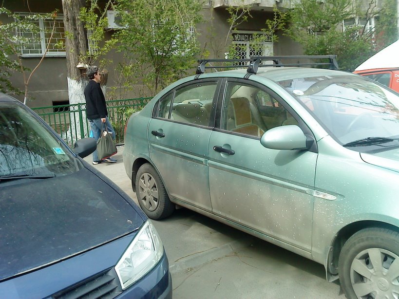 [DSC00072+-+spoirea+de+primavara_resize.JPG]