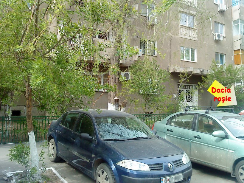 [DSC00073+-+spoirea+de+primavara_resize.JPG]