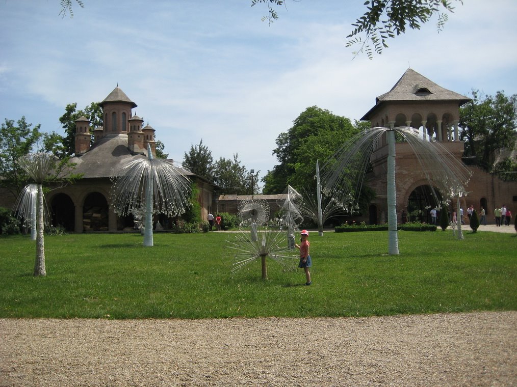 [IMG_2112_resize.jpg]