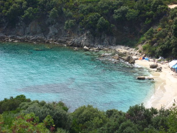 [IMG_3361_resize.JPG]