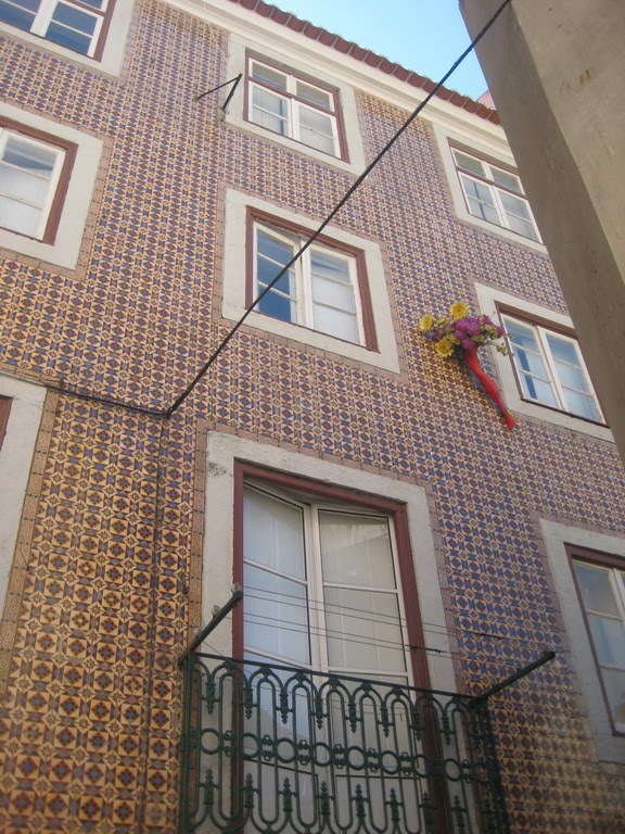 [IMG_3556_resize.jpg]