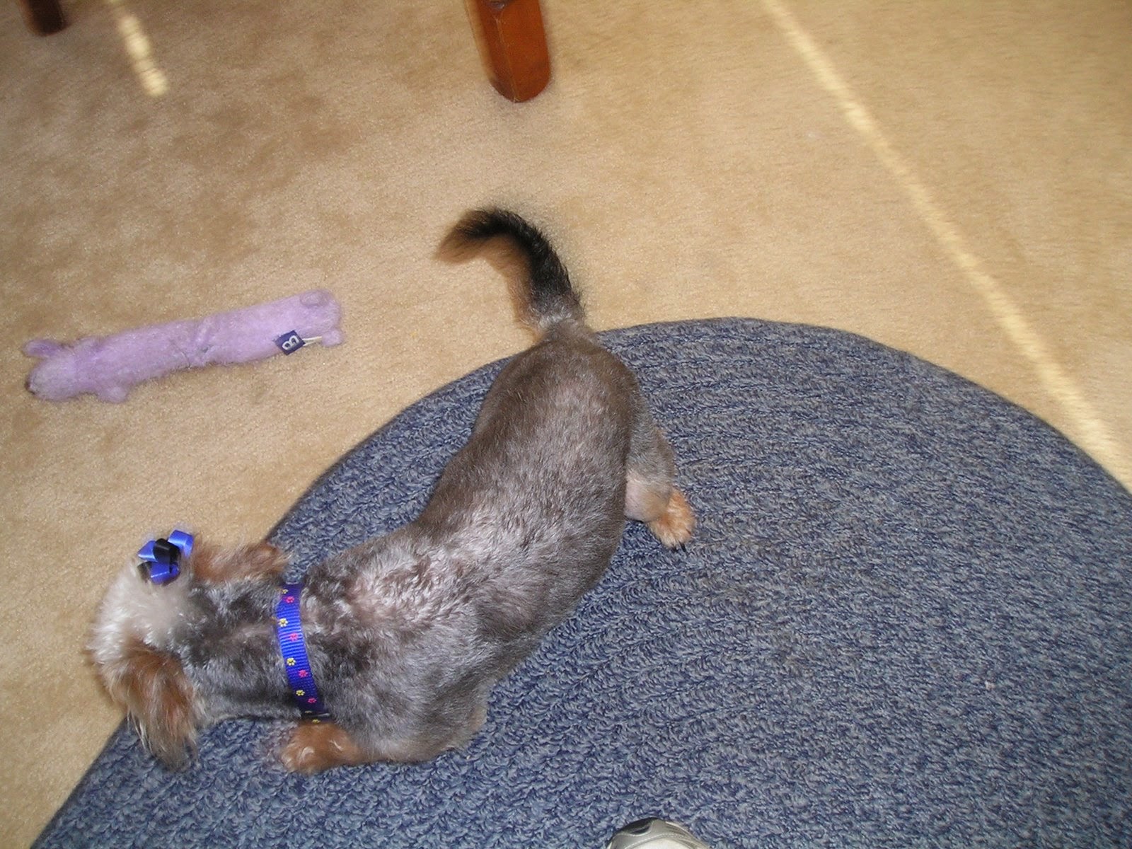 [P1010058.JPG]