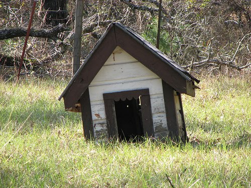 doghouse.jpg
