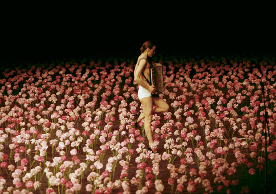 [fiori.jpg]