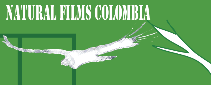 naturalfilmscolombia