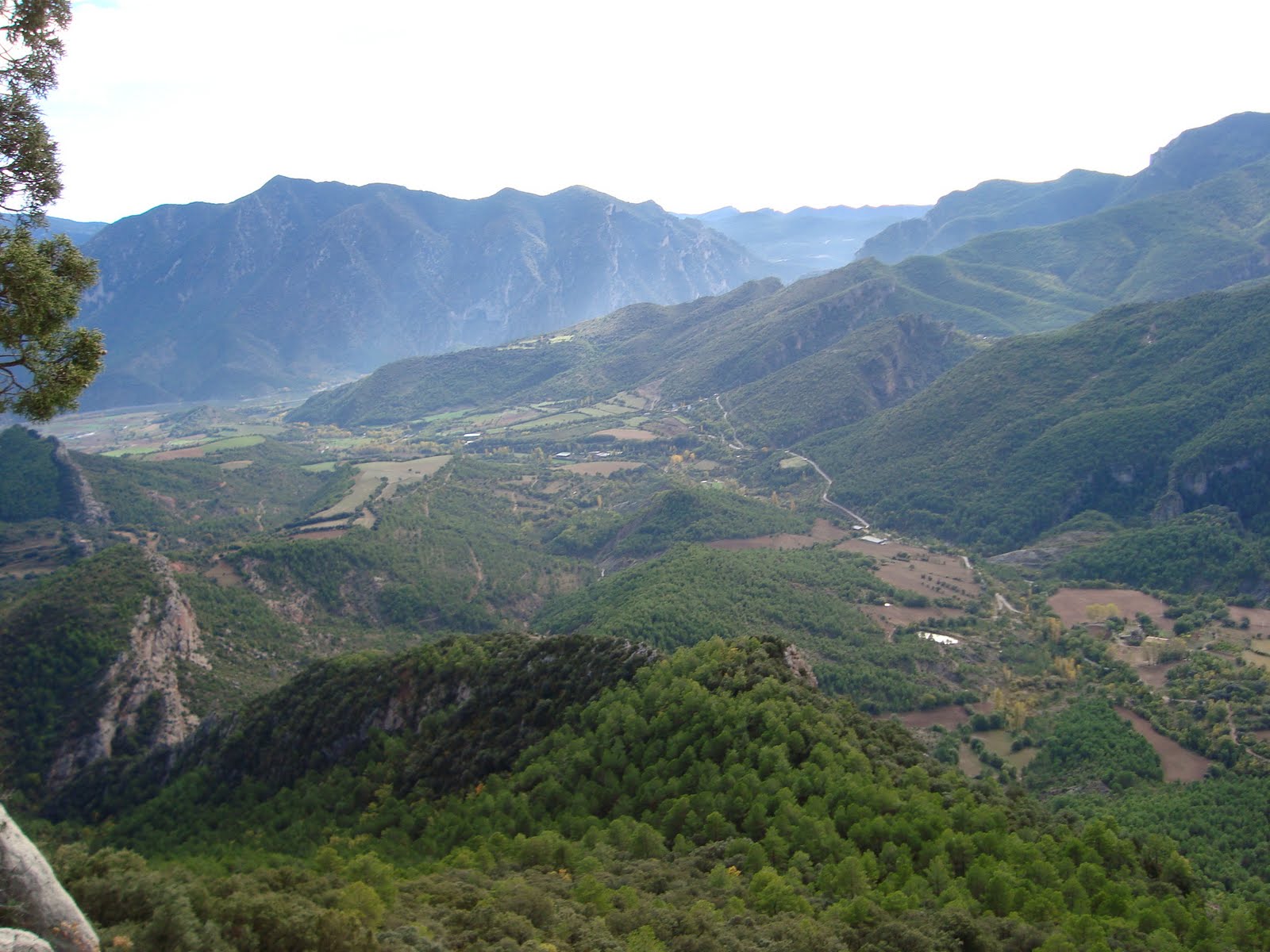 [DSC01211.JPG]