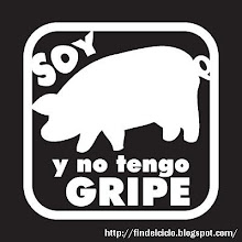 La Verdad Sobre La Gripe AH1N1