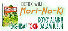 Detox with MORINOKI