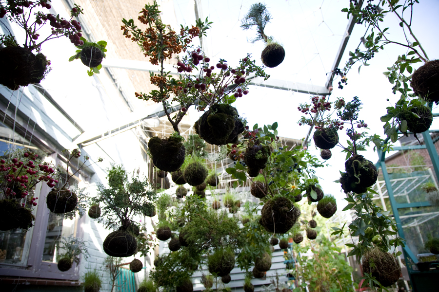 babyramen string gardens