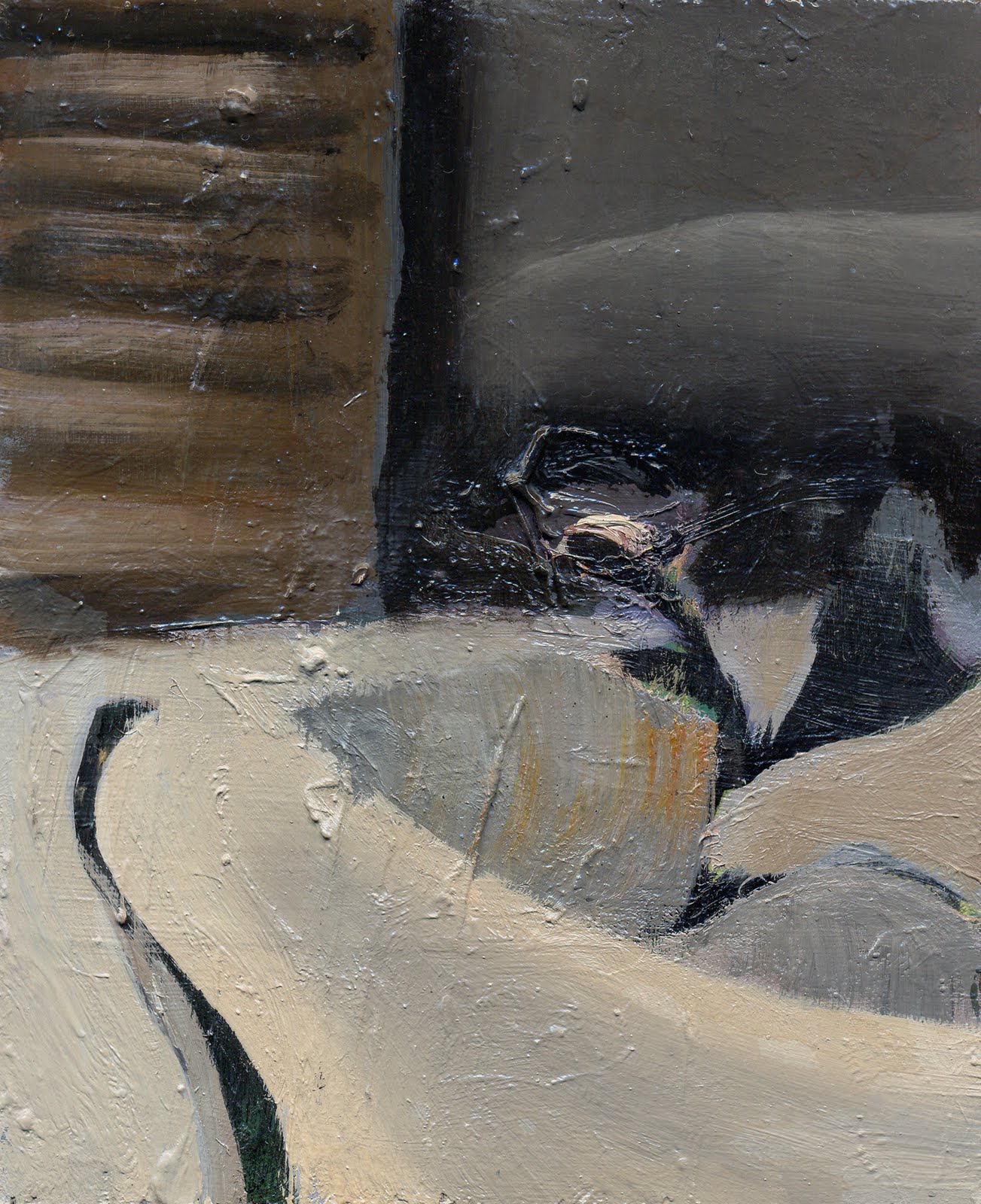 Tom Palin