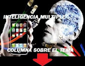 INTELIGENCIA MULTIPLE