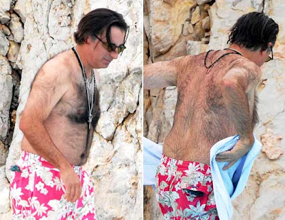 andy garcia back hair