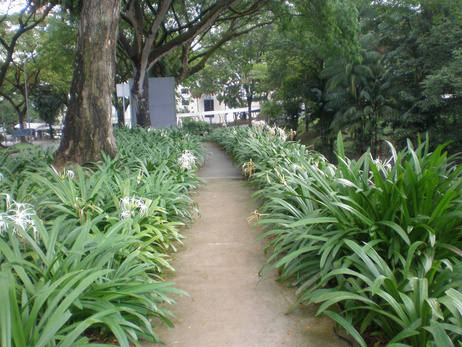 [PC050125.jpg]