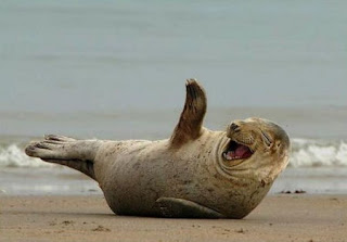 laughing