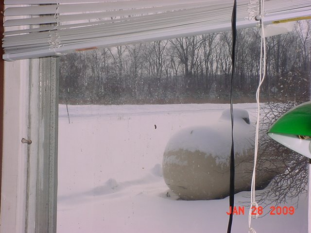 [DSC02572.JPG]