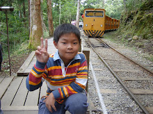 My Photo