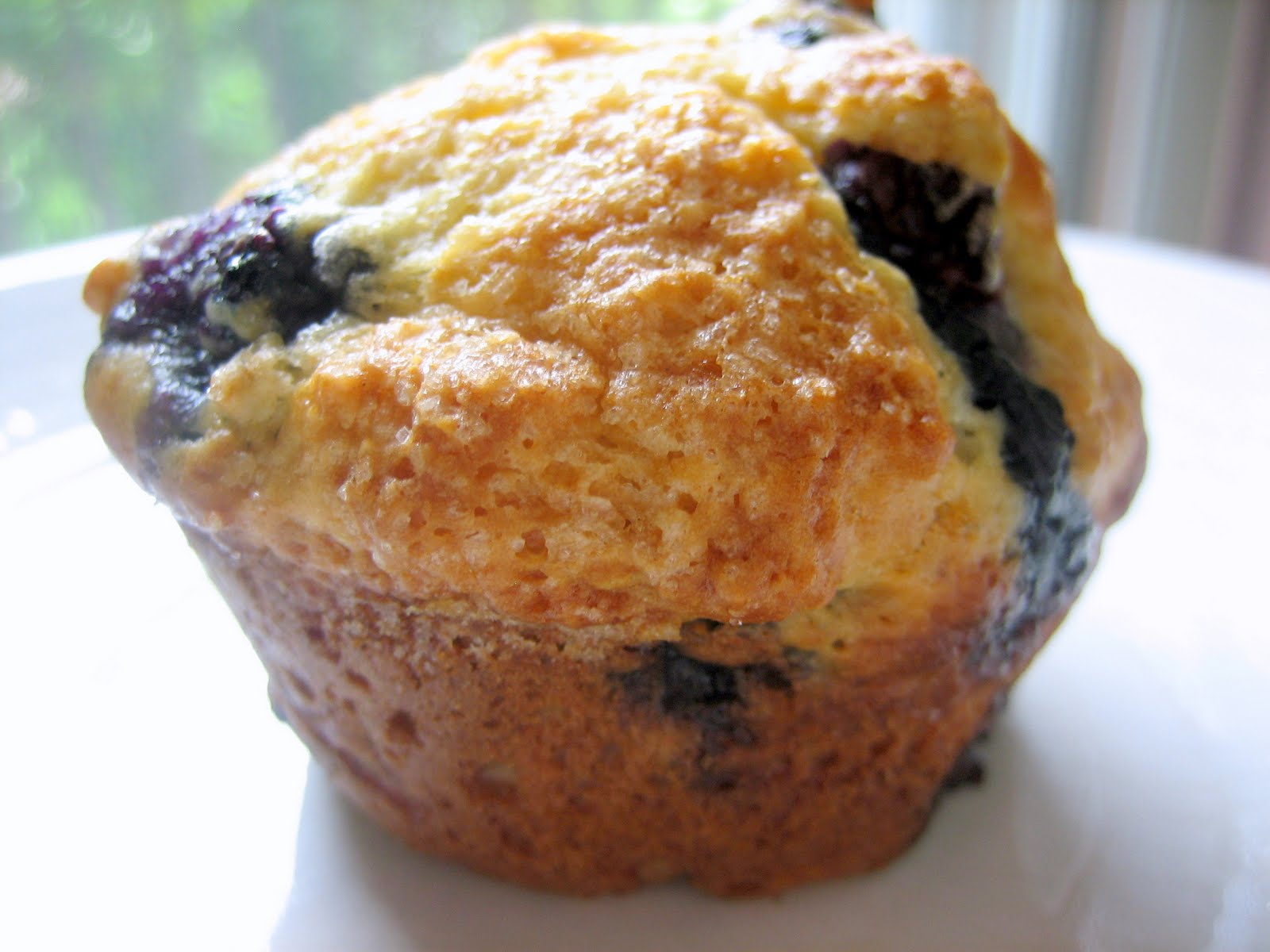 K&K Test Kitchen BlueberryYogurt Muffins