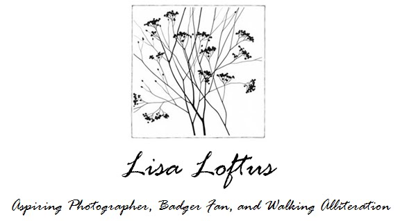 Lisa Loftus Blog