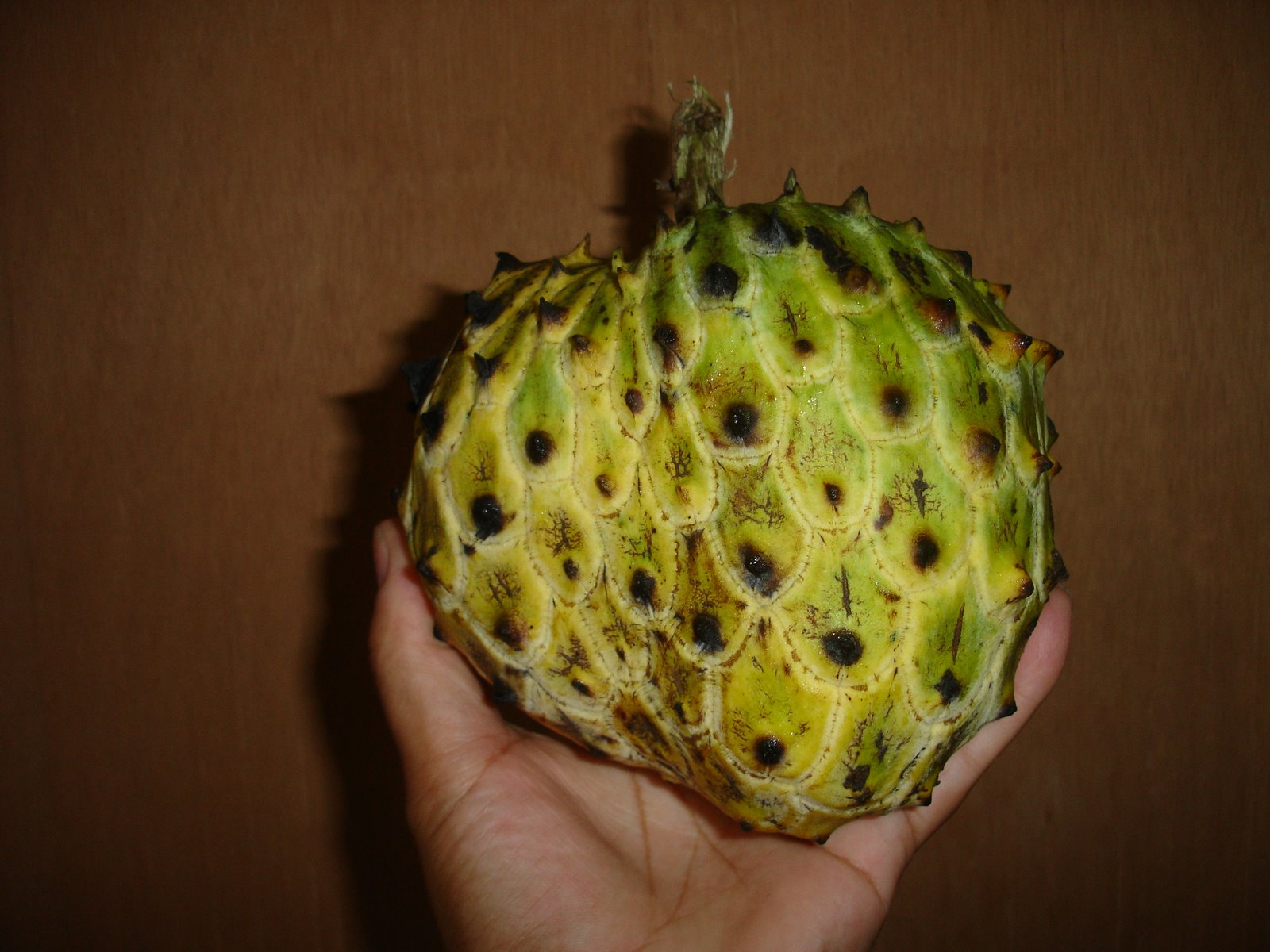 [DSC05743.JPG]