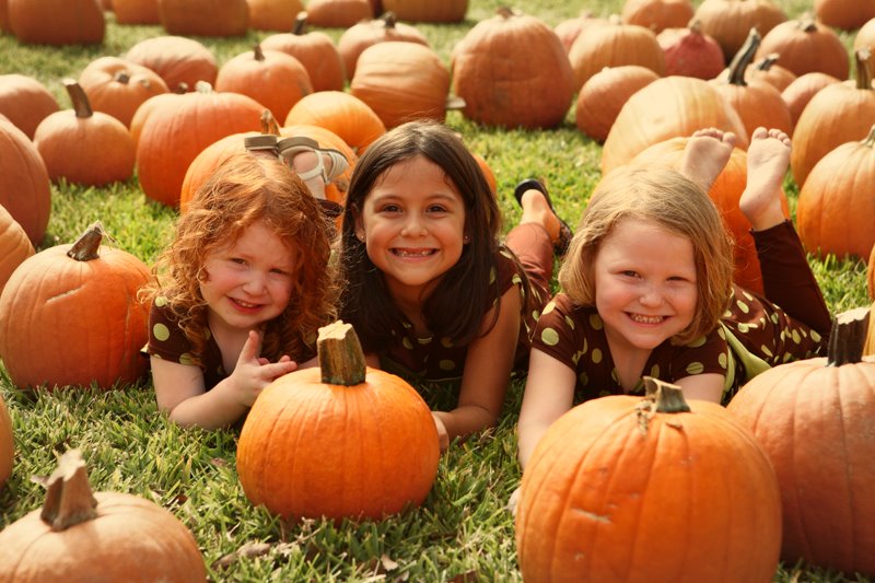 [Pumpkins.jpg]