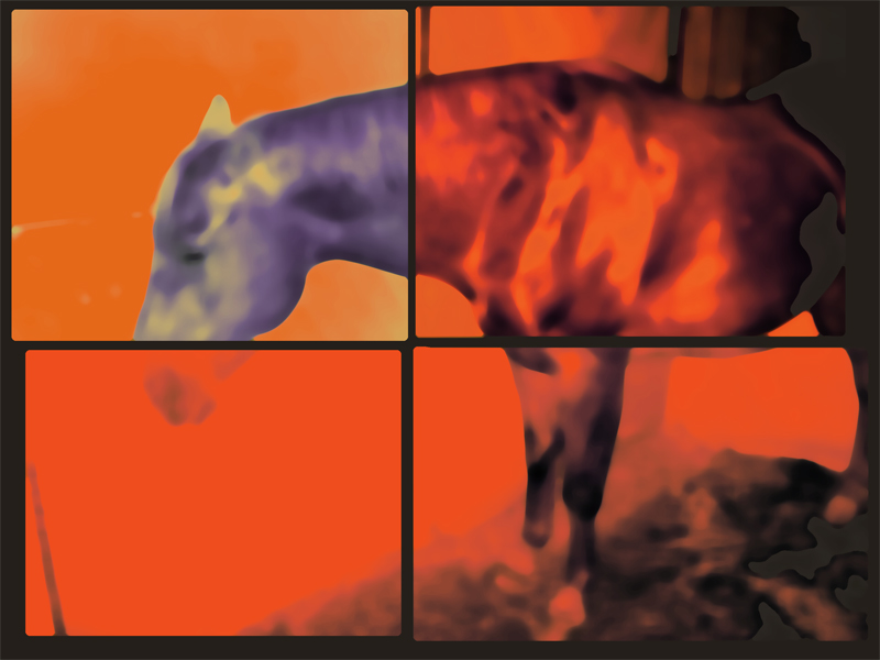 [horse-tile.jpg]