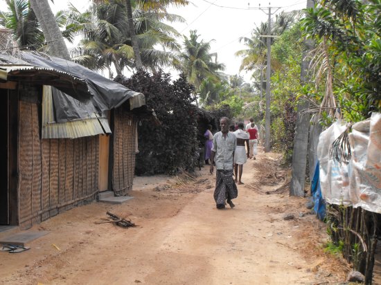 essay on city life and village life essay on city life and village life