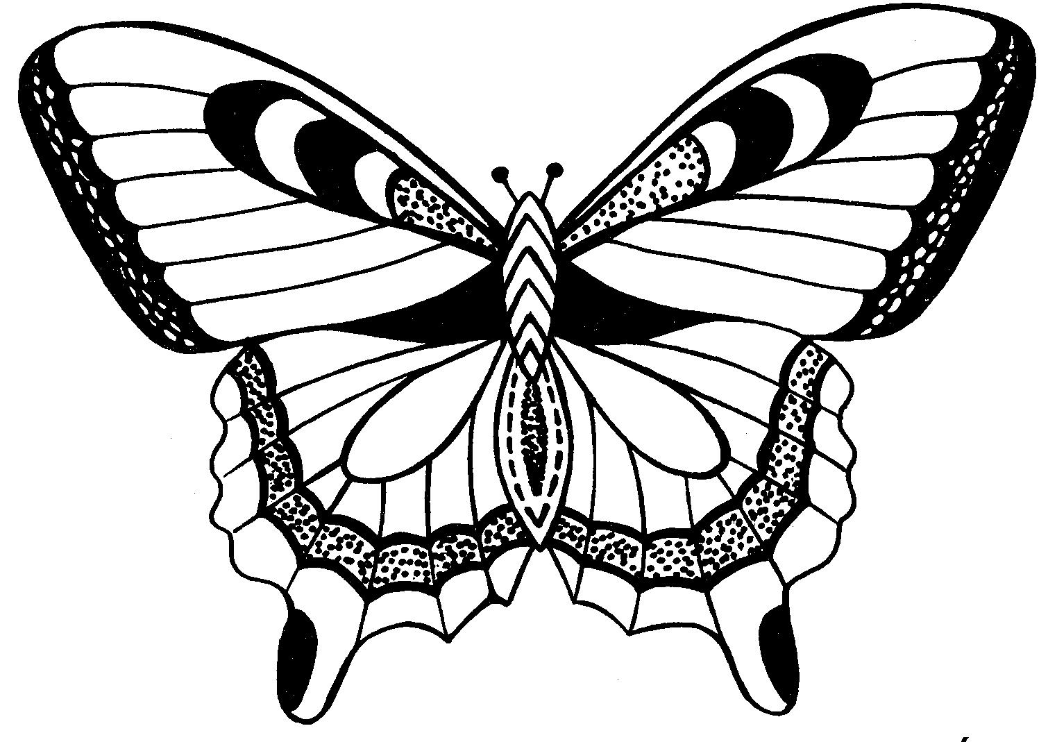 [бабочка+5.JPG]