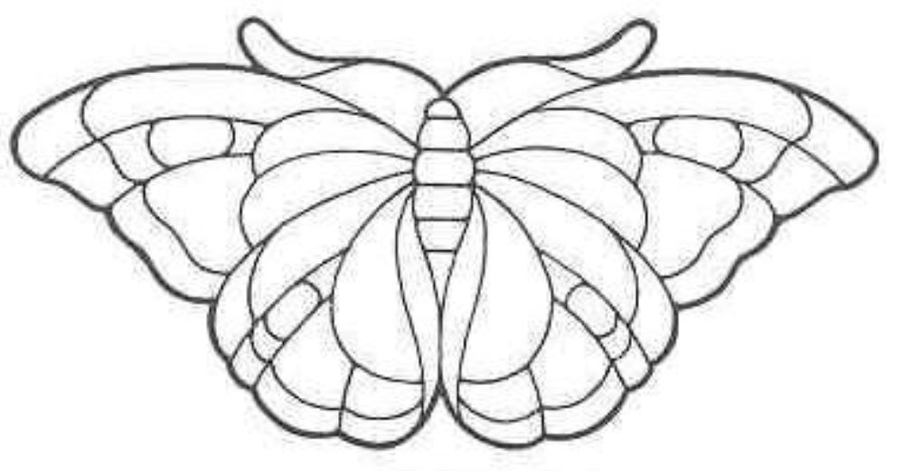 [бабочка+2.JPG]