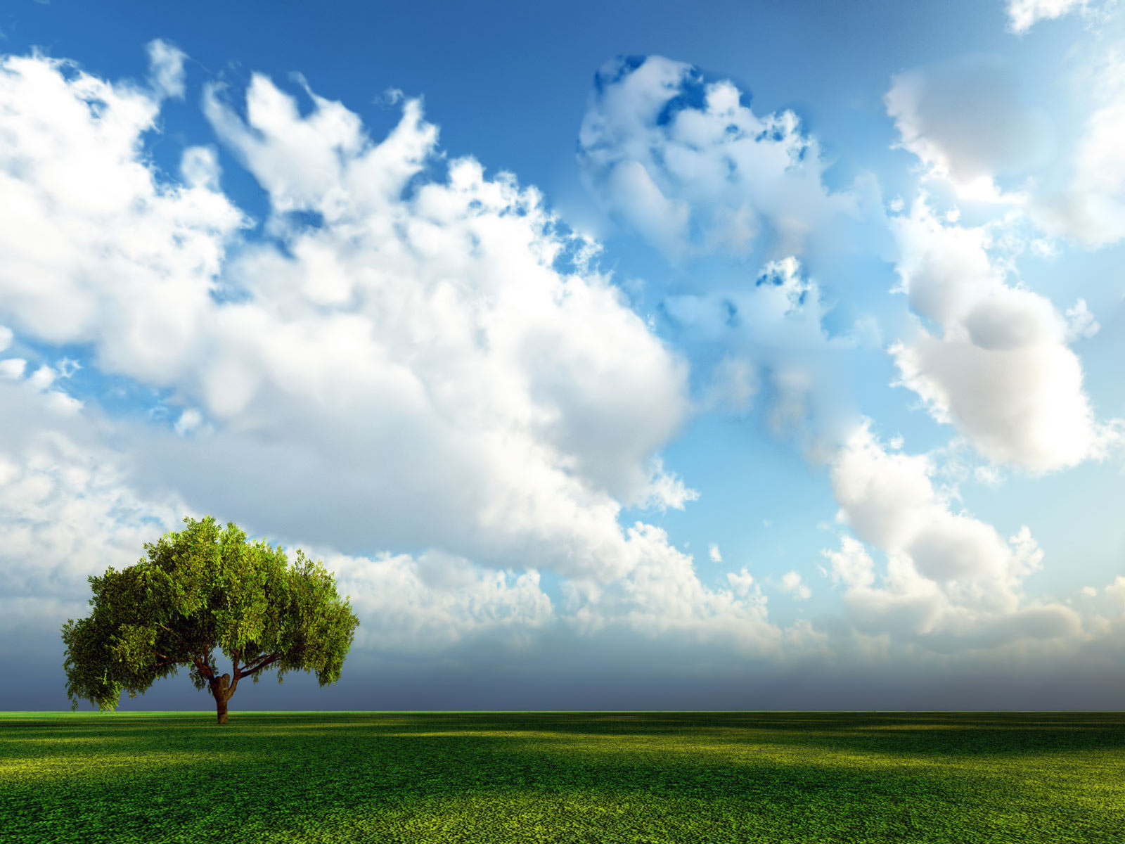 http://4.bp.blogspot.com/_8syJggjkpmE/TO9o5ZxgT-I/AAAAAAAAALU/-EpuVTiattc/s1600/Windows_7_Wallpaper_-_Tree.jpg