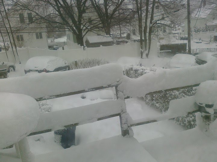 Backyard Snow...