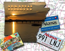 Arkansas Blogger