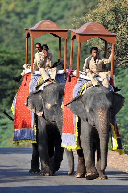 russell brand elephant the modern desi bride russell brand elephant the modern desi bride